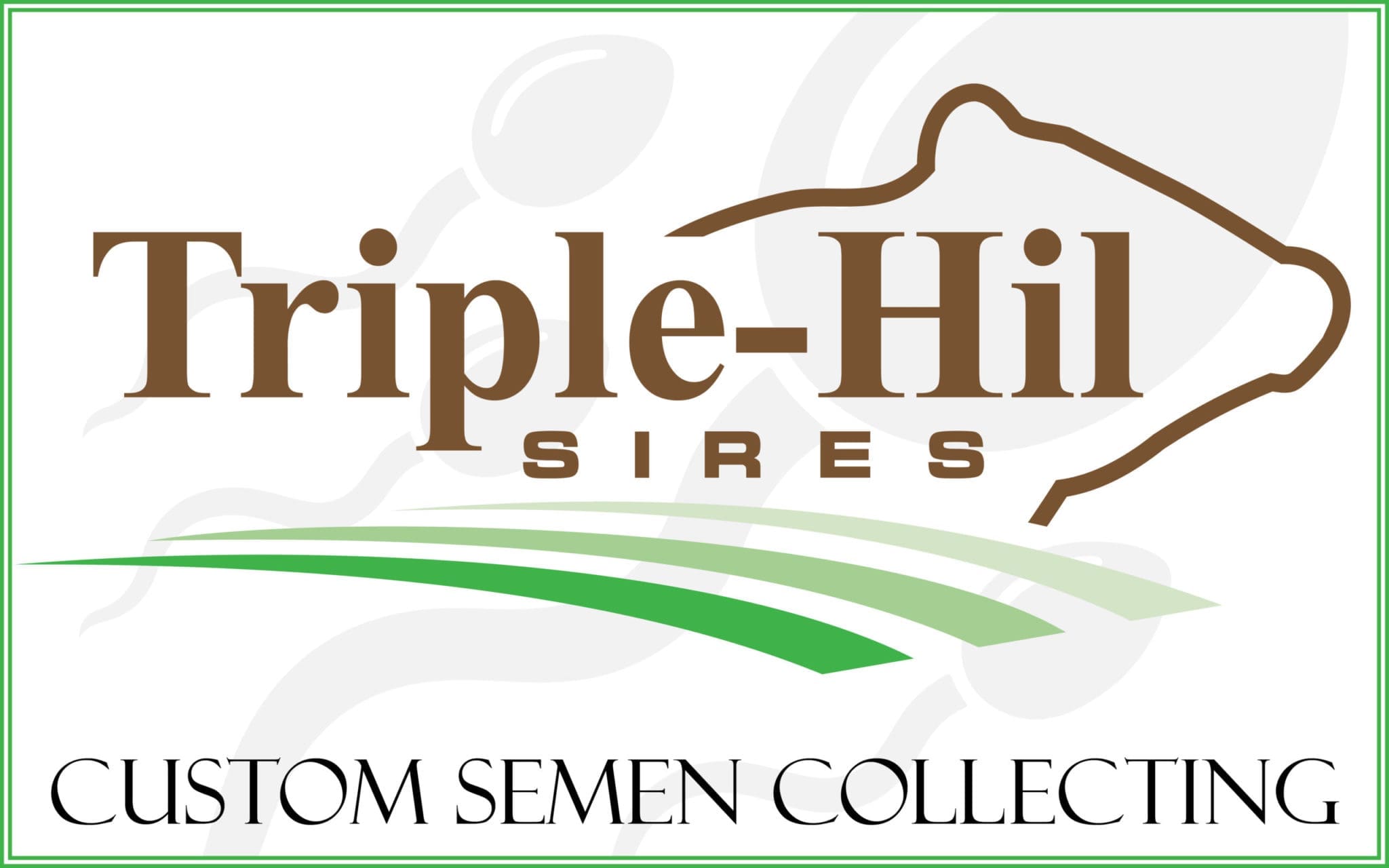 Triple-Hil Sires &mdash; Custom Semen Collecting